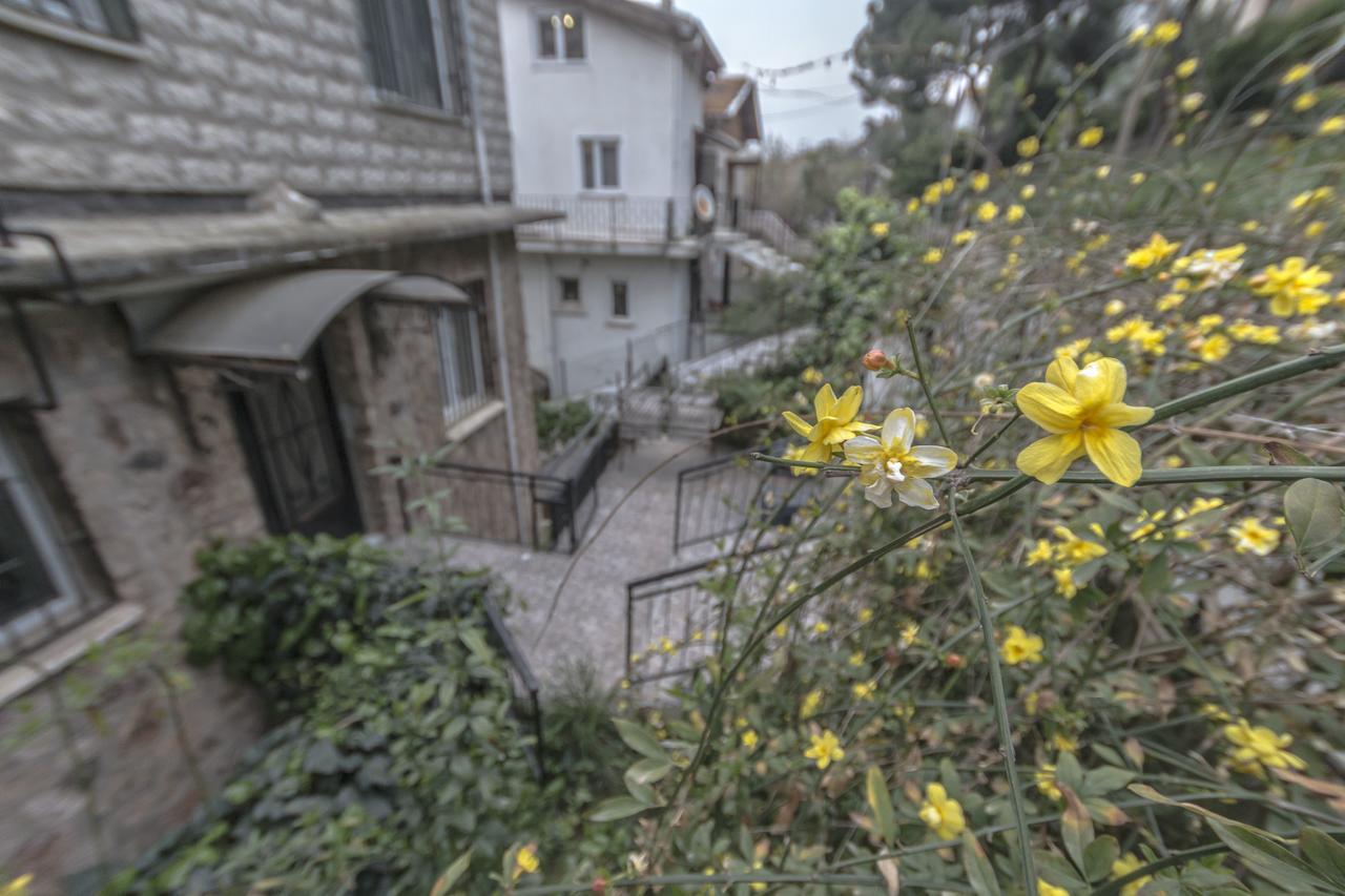 Bueyuekada Apart Hotel - Karadag Apart Πριγκηπονήσια Εξωτερικό φωτογραφία